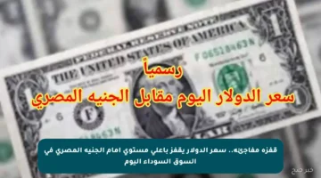 قفزة مفاجئة.. سعر الدولار يقفز بأعلى مستوى أمام الجنيه المصري في السوق السوداء اليوم